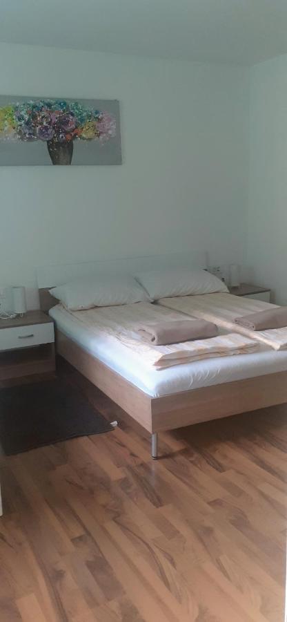 Apartman Sara Vl. Franjo Klasic Krapina Eksteriør billede